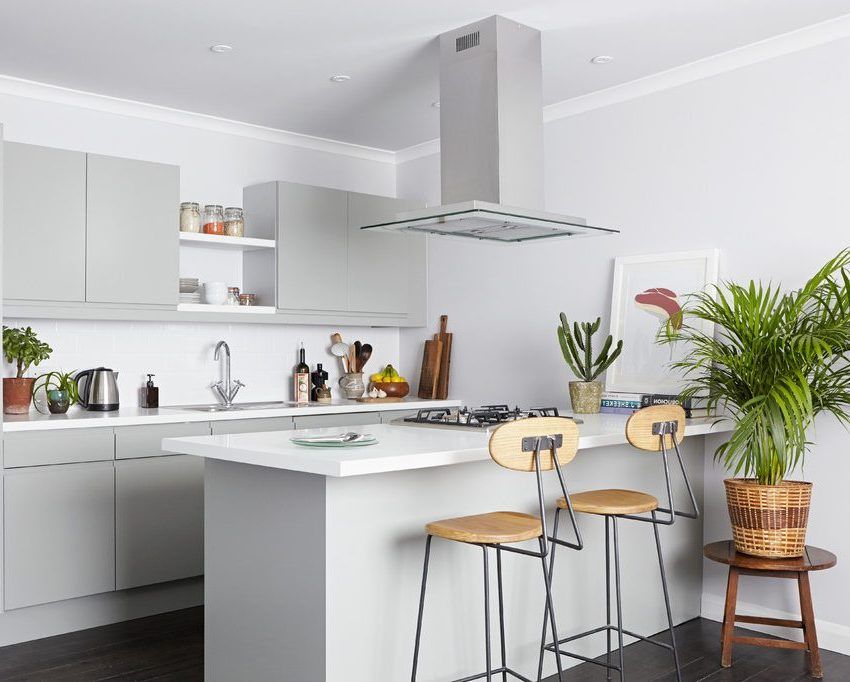 Petite cuisine design de 6 m2: photos des plus beaux intérieurs