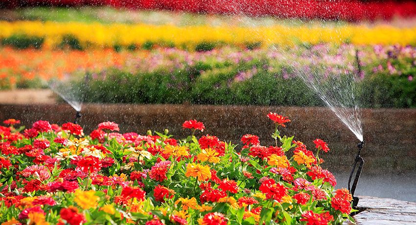 Arroseur pour l'irrigation: créer un microclimat favorable aux plantes