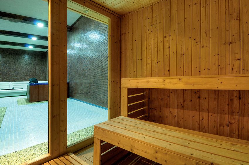 Porte pour bains et saunas: choisissez des modèles magnifiques et résistants à l'humidité