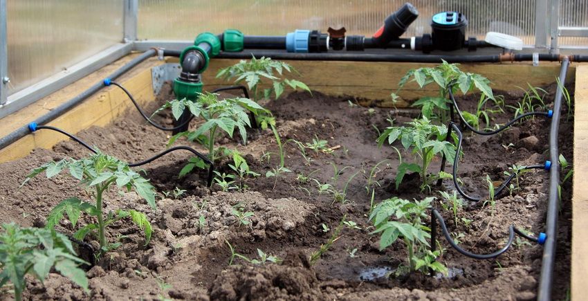 Irrigation goutte à goutte depuis le tonneau pour la serre: la garantie d'une bonne récolte pendant de nombreuses années