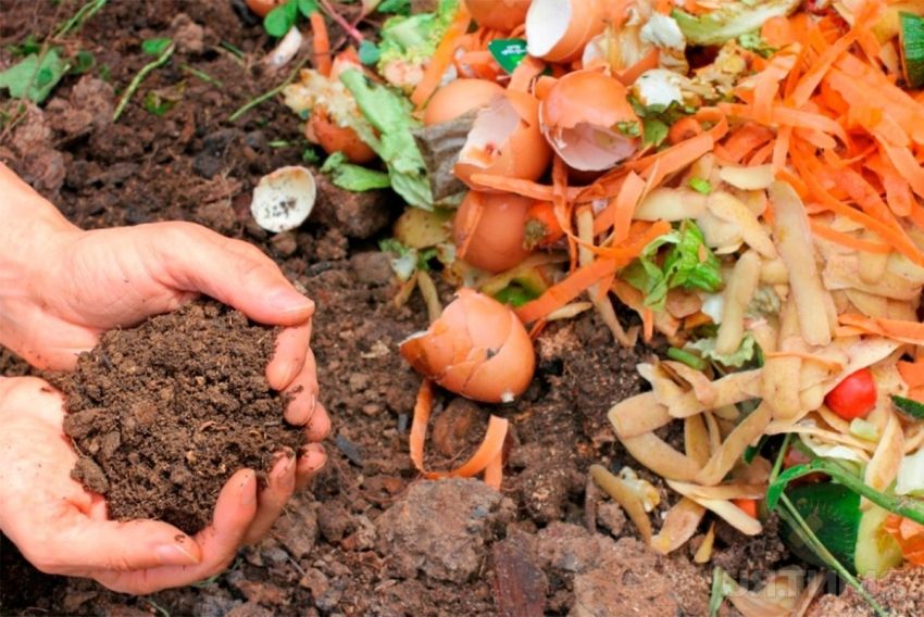 Fosse à compost avec ses propres mains: options pour la fabrication et la conception