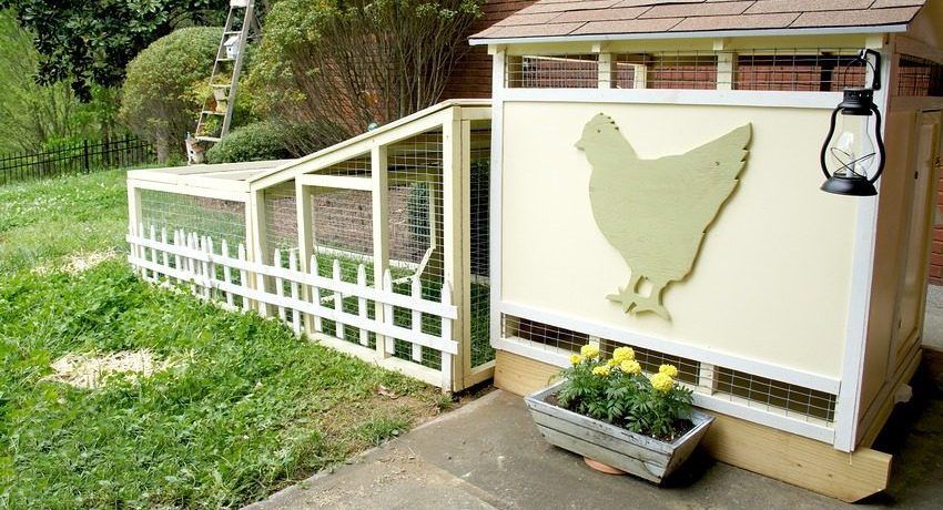 Poulailler à monter soi-même sur 10 poulets: dessins et caractéristiques de construction