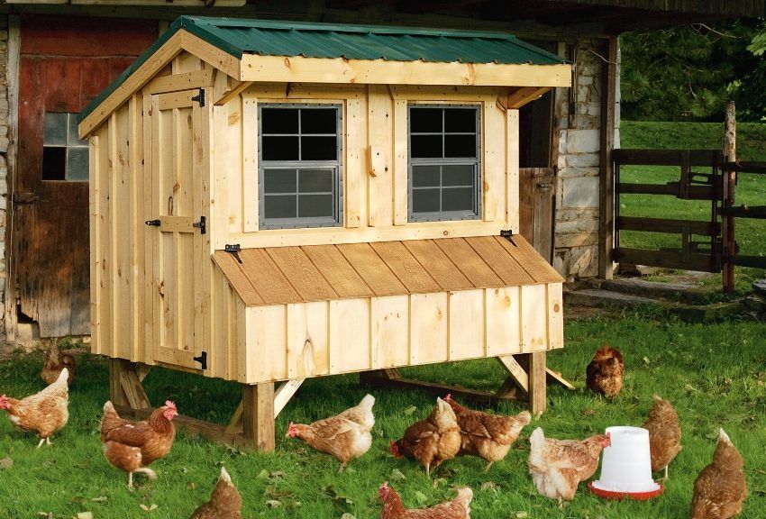 Poulailler à monter soi-même sur 10 poulets: dessins et caractéristiques de construction