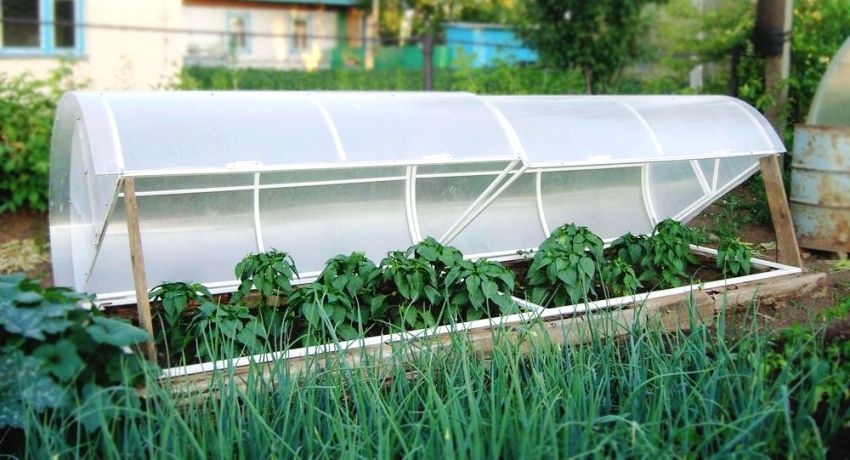 Greenhouse Breadbasket: conception fonctionnelle pour la culture de légumes