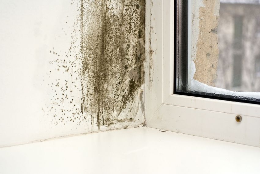 Pourquoi les fenêtres en plastique à l'intérieur de l'appartement transpirent-elles: les causes et leur élimination