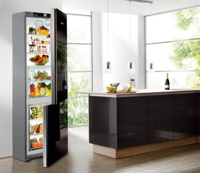 Evaluation du réfrigérateur: examen des meilleurs modèles et conseils pour choisir