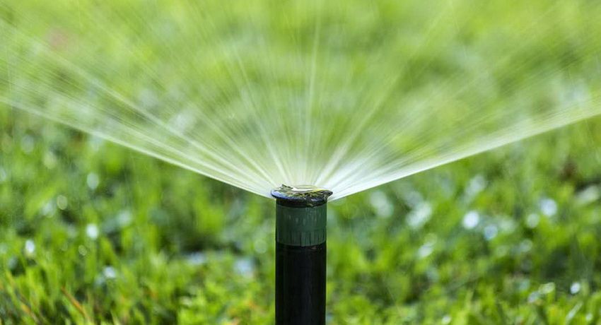 Système d'irrigation dans le pays: une variété d'options pour l'irrigation des plantes