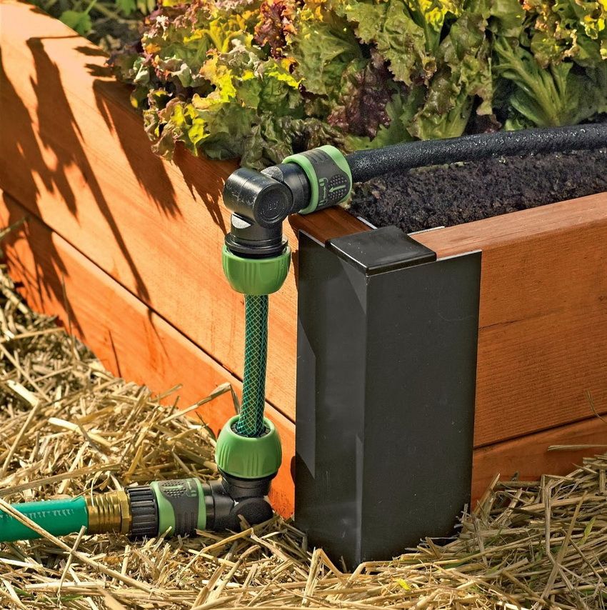 Système d'irrigation dans le pays: une variété d'options pour l'irrigation des plantes