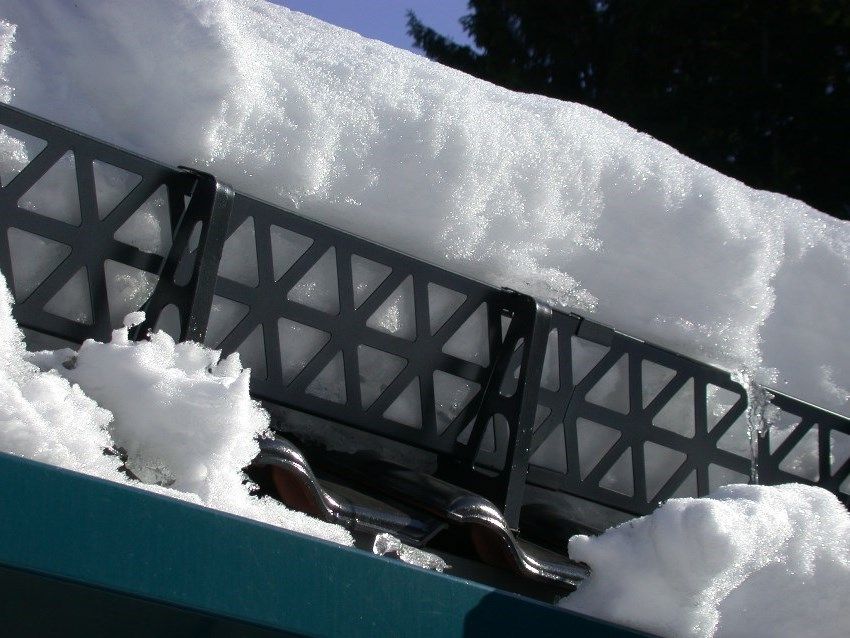 Porte-neige sur le toit: classification, en particulier utilisation et installation