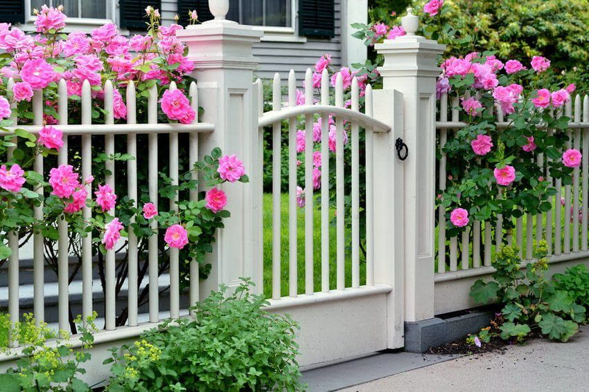 Clôtures et clôtures pour la maison. Collection de photos d'idées brillantes